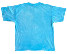 Load image into Gallery viewer, 90s Wildcat In-Flight Over Dyed Tee (XL)
